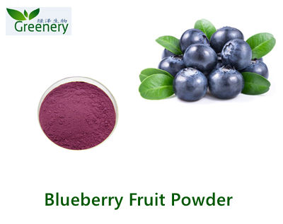 Blueberry Powder