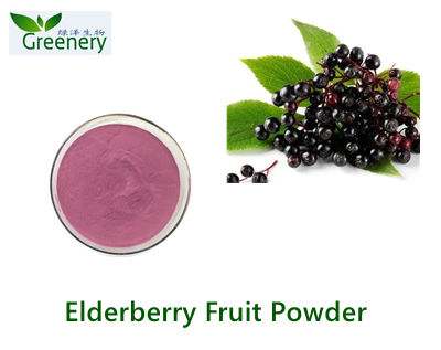 Elderberry Fruit Powder