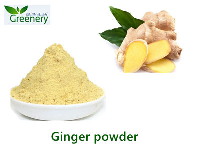 Ginger Extract Powder
