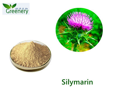 Ginkgo Biloba Extract