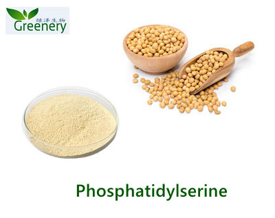Phosphatidylserine