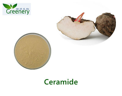 Rice Phytoceramide