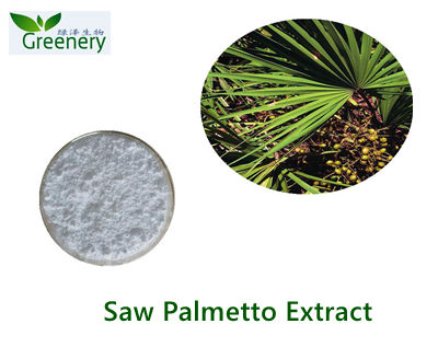 Saw Palmetto Extract
