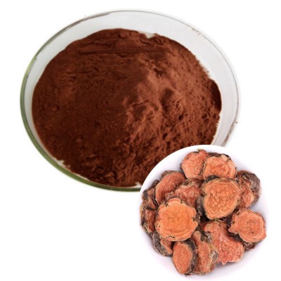 Shiitake Extract Powder
